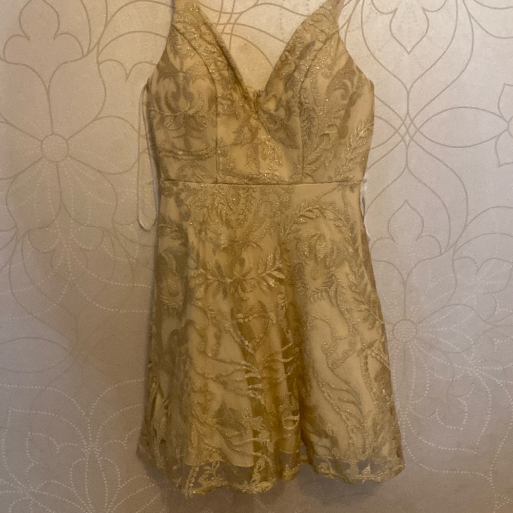 Gold dress mesh and beautiful designs